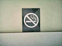 Celebrity News Today: Latest Headlines and Breaking Stories